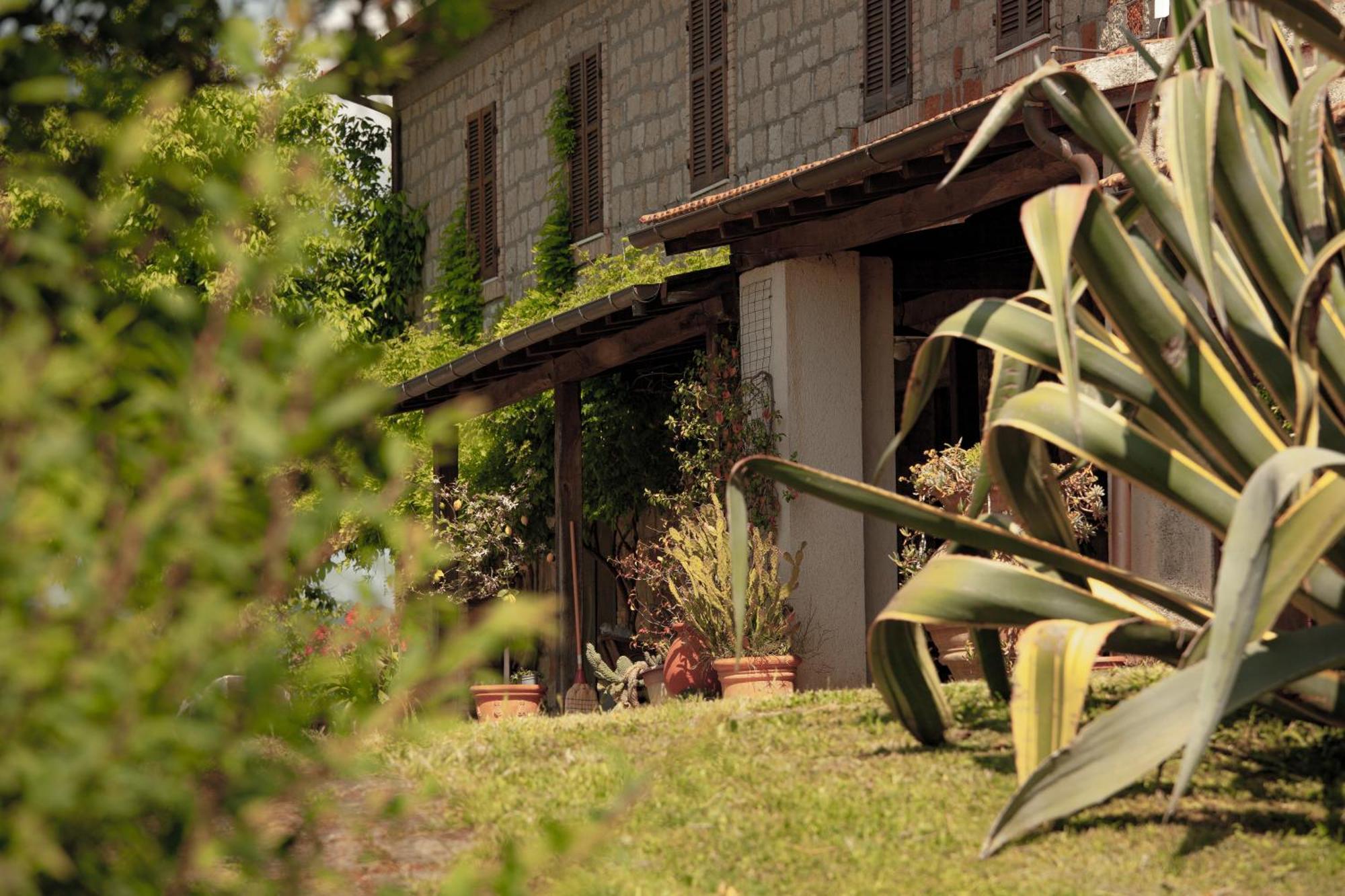 Agriturismo Bio Aia Della Colonna Saturnia Bagian luar foto