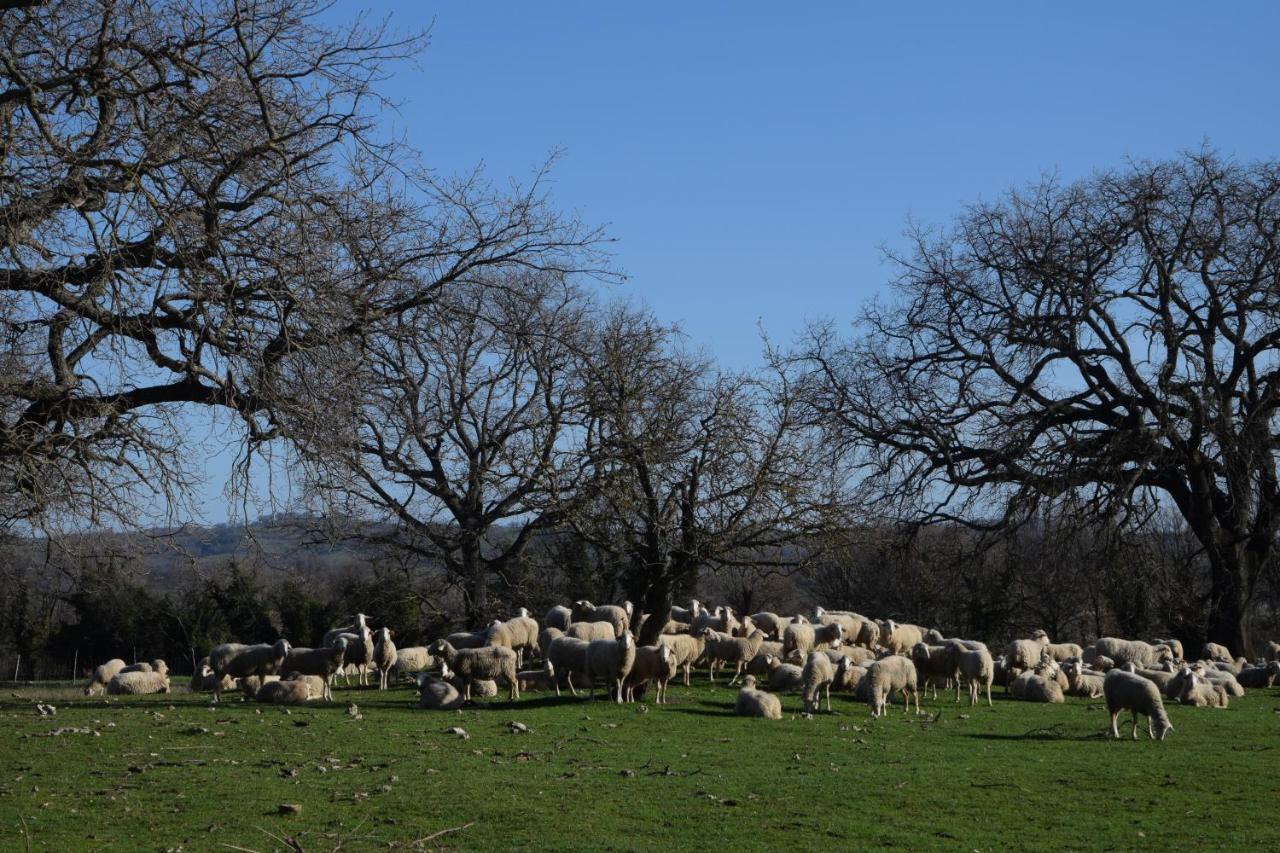 Agriturismo Bio Aia Della Colonna Saturnia Bagian luar foto
